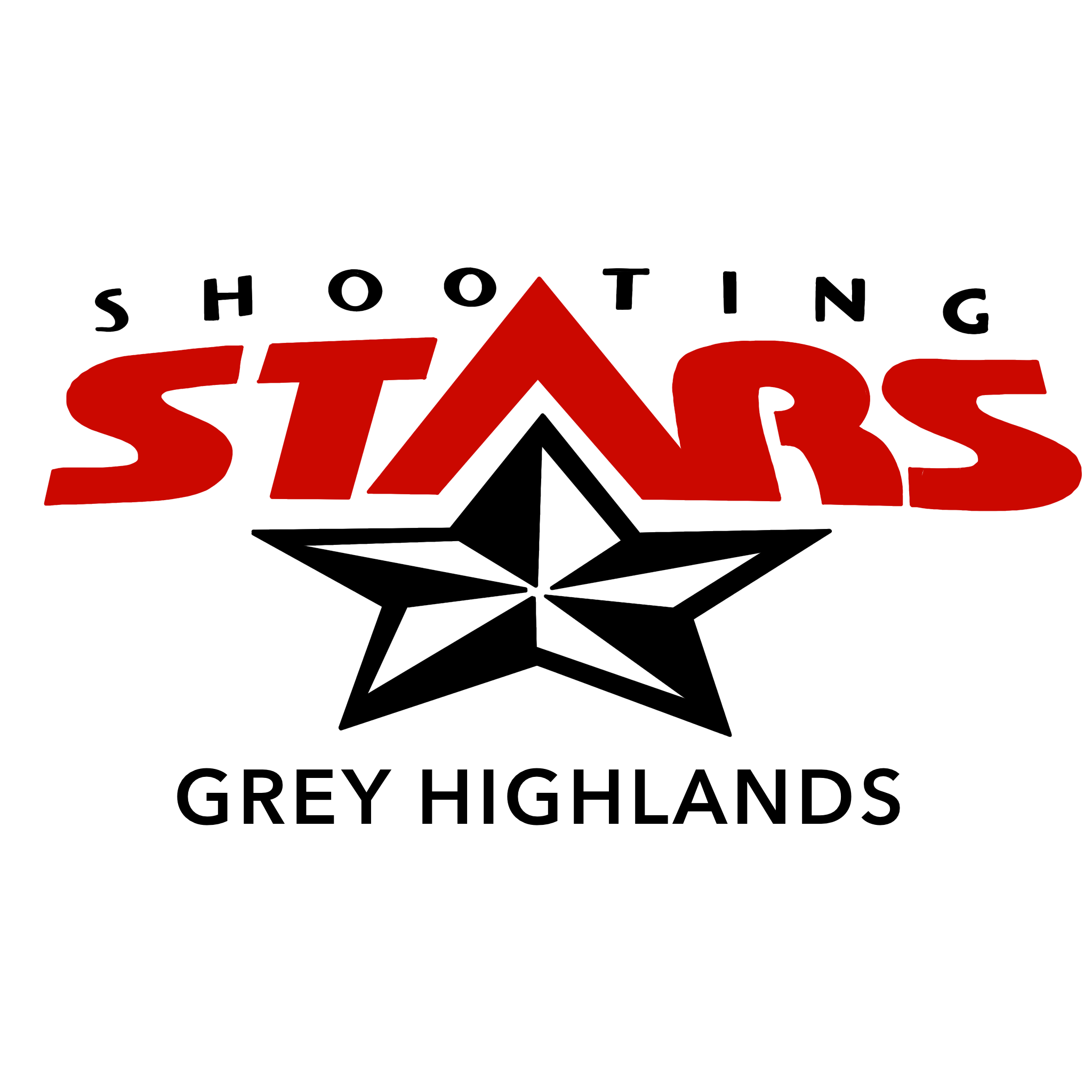 Shooting Stars Stickers