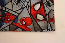 Load image into Gallery viewer, Spiderman Pouch
